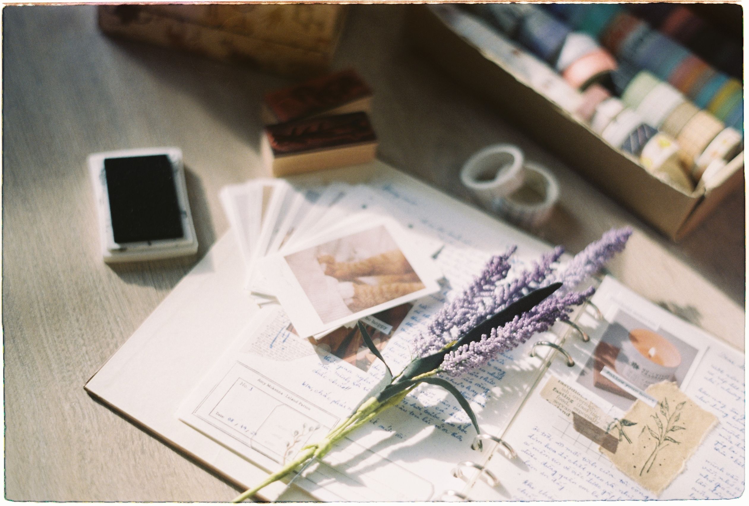 Traveler's Notebook Kit