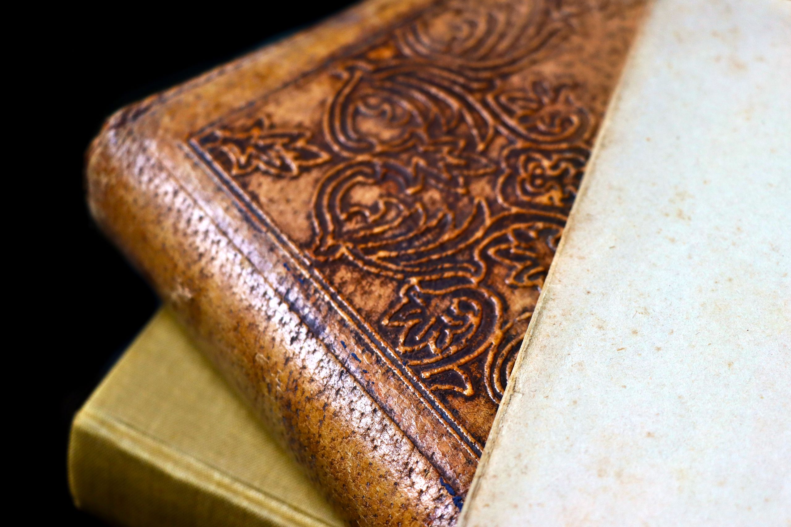 Green book with gold crest embossing