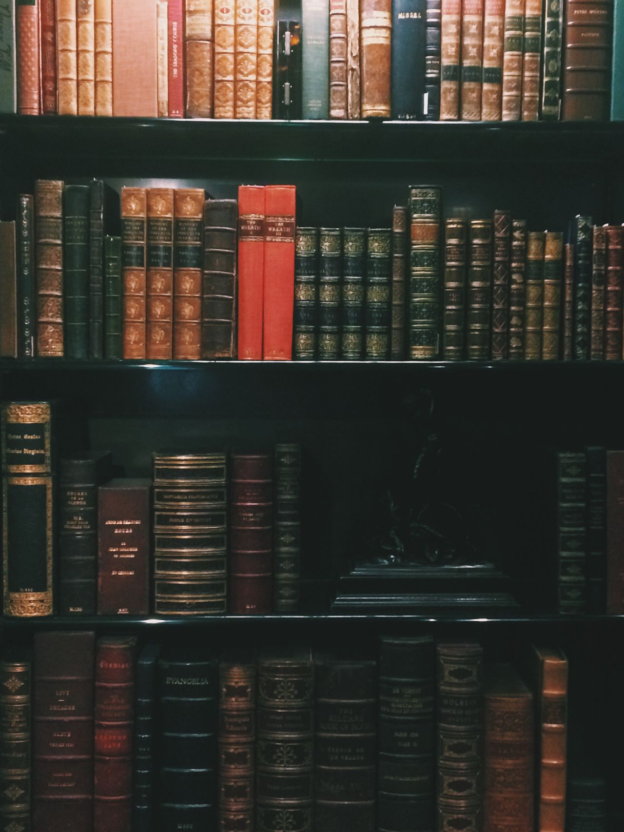 Antique brown leather spine
